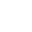 Cyber Security Icon